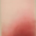 Marisa Purcell, Sunshine In , 2025