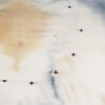 Heath Wae, The Flower Has No Petal , 2025