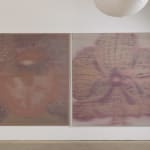 Heath Wae, Petal Portal II, 2025