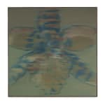 Heath Wae, Petal Portal II, 2025