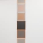 Gwen Hardie, 05.20.21 muted pale pink on raw umber, 2021