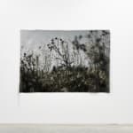 Cas Friese, no. 1252, 2021