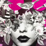 Olly Howe, Lady Papillon