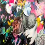 Lee Herring & Olly Howe, The Beginning
