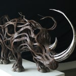 Thumbnail of additional image