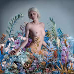 Marco Grassi, THE PARADOX OF EVOLUTION
