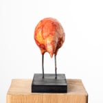 MICHEL FLAMME, CUCULUS NEBULARIUS