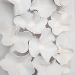 ANS PULLENS, POWER OF WHITE