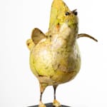 MICHEL FLAMME, CUCULUS NEBULARIUS