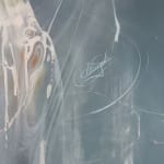 Christiane Vleugels, MUSE