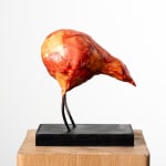 MICHEL FLAMME, CUCULUS NEBULARIUS