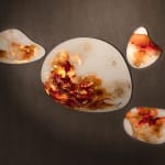 STEPHANIE VAN DER BEEK, FLUID CHOICES
