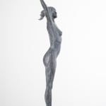 LINDE ERGO, FREEDOM (middelgroot)