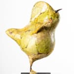 MICHEL FLAMME, CUCULUS NEBULARIUS