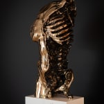 WOUTER HOUTEN, WHO'S THE KING, 2024