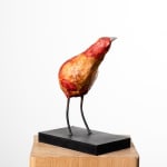 MICHEL FLAMME, CUCULUS NEBULARIUS