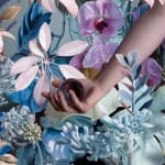 Marco Grassi, THE PARADOX OF EVOLUTION