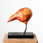 MICHEL FLAMME, CUCULUS NEBULARIUS