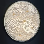 ANS PULLENS, POWER OF WHITE