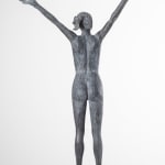 LINDE ERGO, FREEDOM (middelgroot)