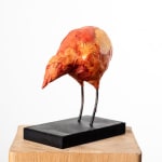 MICHEL FLAMME, CUCULUS NEBULARIUS
