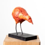 MICHEL FLAMME, CUCULUS NEBULARIUS