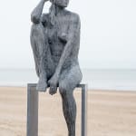 LINDE ERGO, FREEDOM (middelgroot)