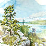 Rob Finn, Seal Cove Pond Tree, 2022