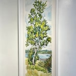 tree, portrait, maine, woods, acadia national park, birch, art, painting, maine, mdi, mount desert island, framed, white