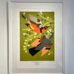 art, audubon, bird, green, orange, modern, graphic, print, framed, white