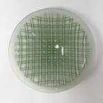 fused glass bowl with green and translucent plaid pattern