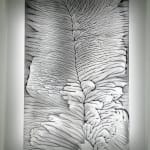 Shimul Saha, Who Cares, 2010
