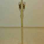 Shimul Saha, Who Cares, 2010