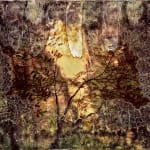 Suruchi Choksi, Untitled