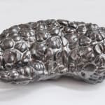 Shimul Saha, Who Cares, 2010