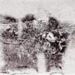 Suruchi Choksi, Untitled