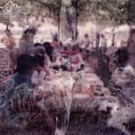 Suruchi Choksi, Untitled