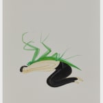 Buddhadev Mukherjee, UNTITLED, 2023-24