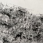 Suruchi Choksi, Untitled