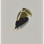 Buddhadev Mukherjee, UNTITLED, 2023-24