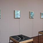 Shimul Saha, Who Cares, 2010