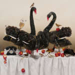 Kate Bergin, Black Swans of Trespass, 2011