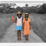 Amelia Lynch, Marramarra, 2022