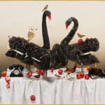 Kate Bergin, Black Swans of Trespass, 2011