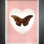 Damien Hirst, 'I Love You' Red/Gold Butterfly , 2015