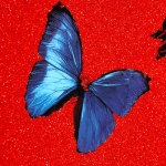 Damien Hirst, The Virtues 'Loyalty', Limited Edition 'Cherry Blossom' Landscape, 2021