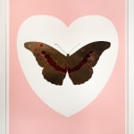 Damien Hirst, 'I Love You' Red/Gold Butterfly , 2015