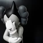 Thumbnail of additional image