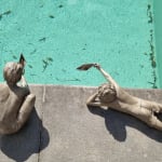 Escultura en bronce La Pequeña Buceadora Béatrice Cols, escultura, escultura en bronce, niño al borde de la piscina, niño con barquito, niño jugando con su barco, artista belga, escultura de arte contemporáneo, obra en bronce para interior y exterior para coleccionistas, escultura en bronce para arquitectos de interiores, escultura en bronce para diseñadores de interiores, alquiler de obra de arte en bronce, feria de arte SMART Aix-en-Provence 2025, escultura figurativa infantil en bronce artista contemporánea, escultura poética en bronce Béatrice Cols, colección de esculturas contemporáneas en bronce, instalación artística para estanque o piscina, escultura en bronce para diseño paisajístico, obra en bronce para colección privada, escultura en bronce para decoración de alto nivel, arte contemporáneo en bronce, escultura de niño en bronce con emoción y ternura, arte figurativo femenino en bronce, Béatrice Cols escultora en bronce, arte en bronce para diseño de interiores, leasing de arte, alquiler de obras de arte