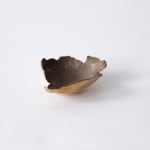 Lucy Gill, Onions Skins (Individual #3), 2023